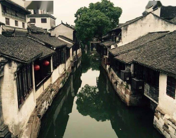 脑洞小老弟无实名认证